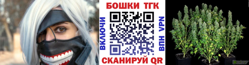Конопля сатива сколько стоит Тбилисская